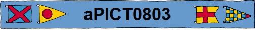 aPICT0803