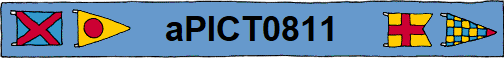 aPICT0811