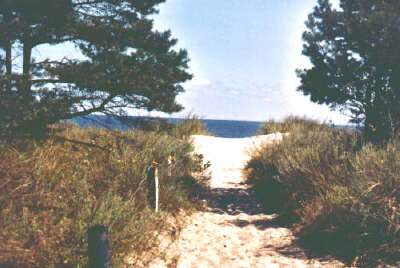 Foto6