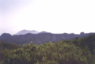 Gomera1